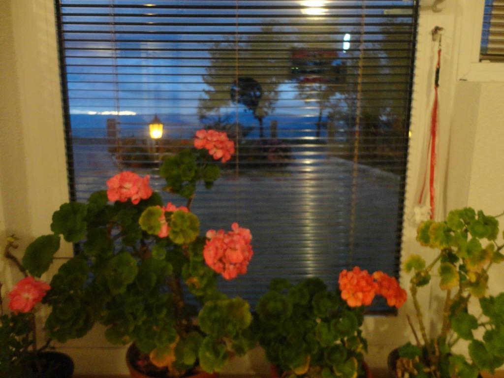 Apartmani Bakule Pestani Exterior photo